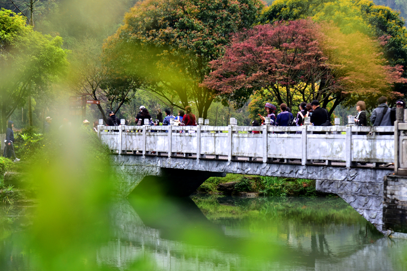 清明游玩黃龍洞，不負滿園好春光（組圖）